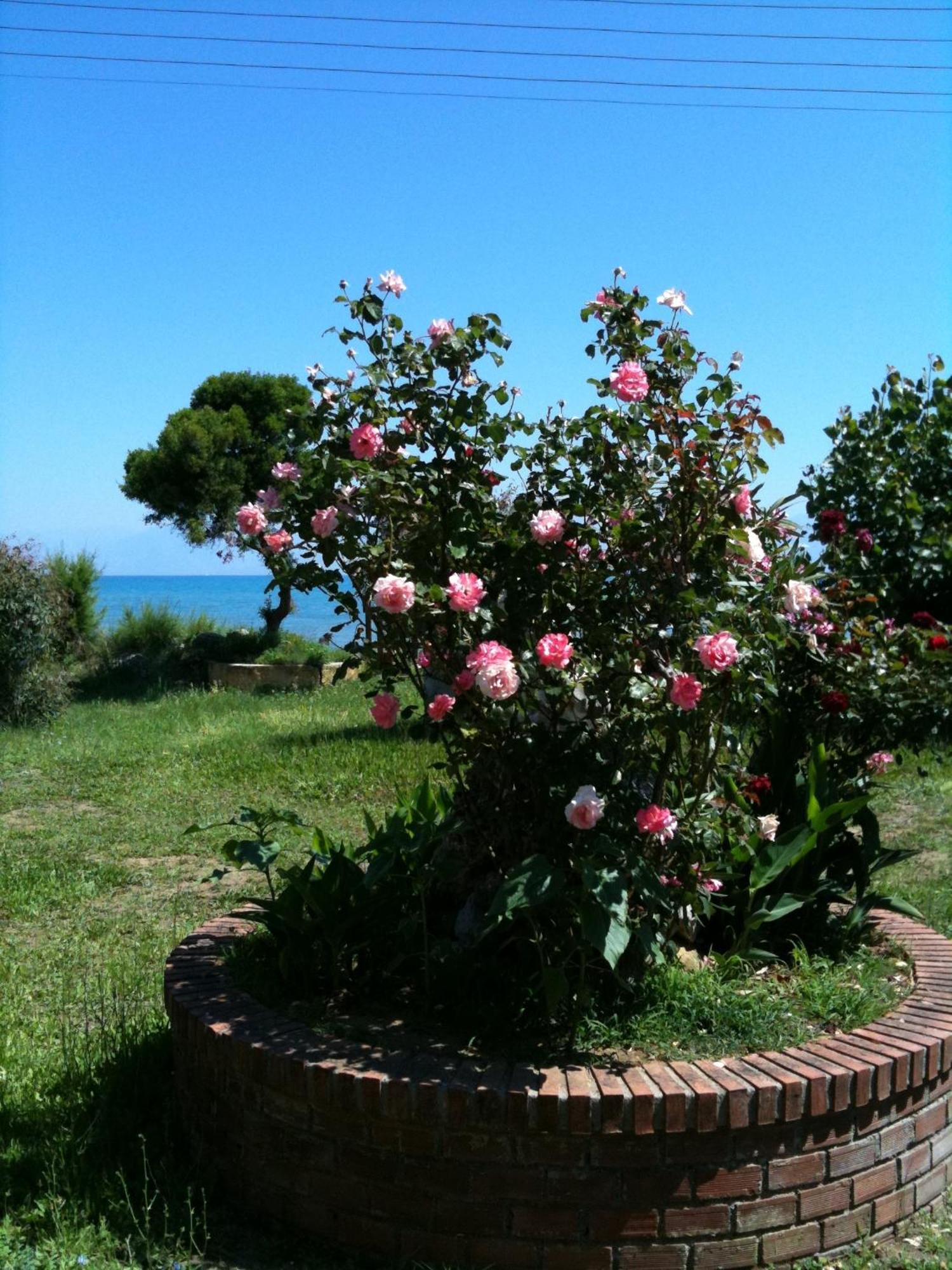 Makris Roda (Corfu)